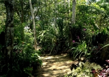 Imagen Parque Ecológico Mundo Amazóni